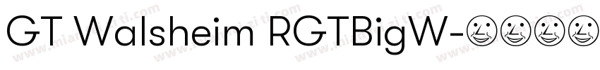 GT Walsheim RGTBigW字体转换